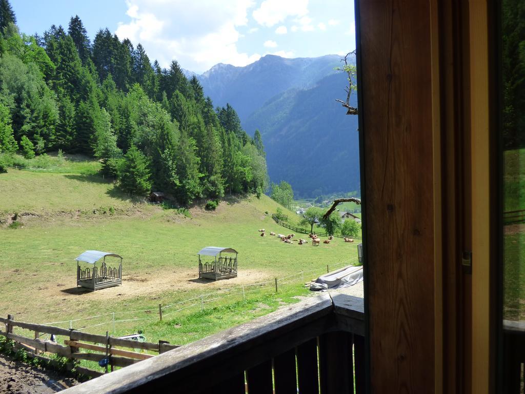 Gasthof Dorfschenke Stall Luaran gambar